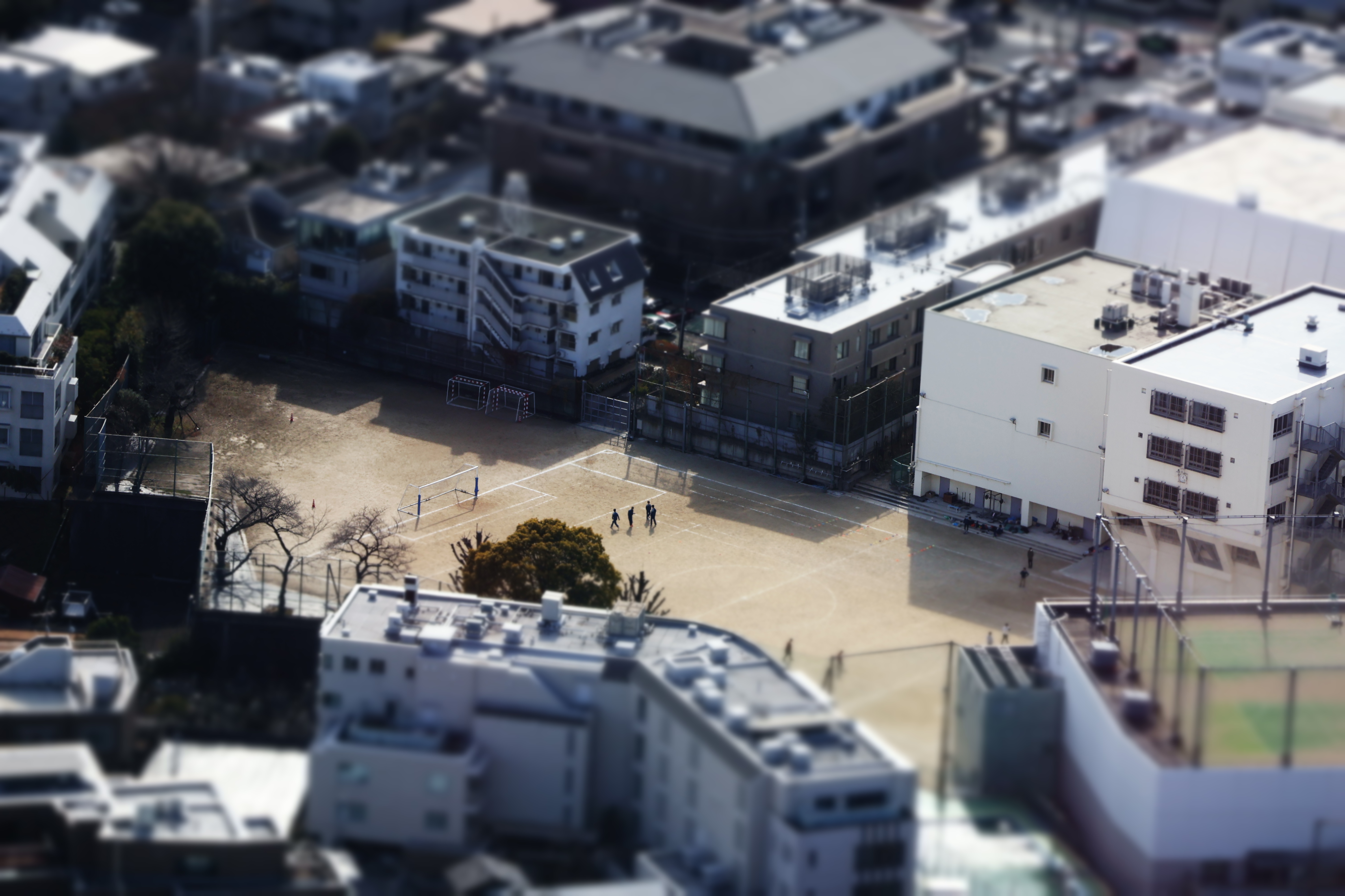 緑の島々、灰色の海