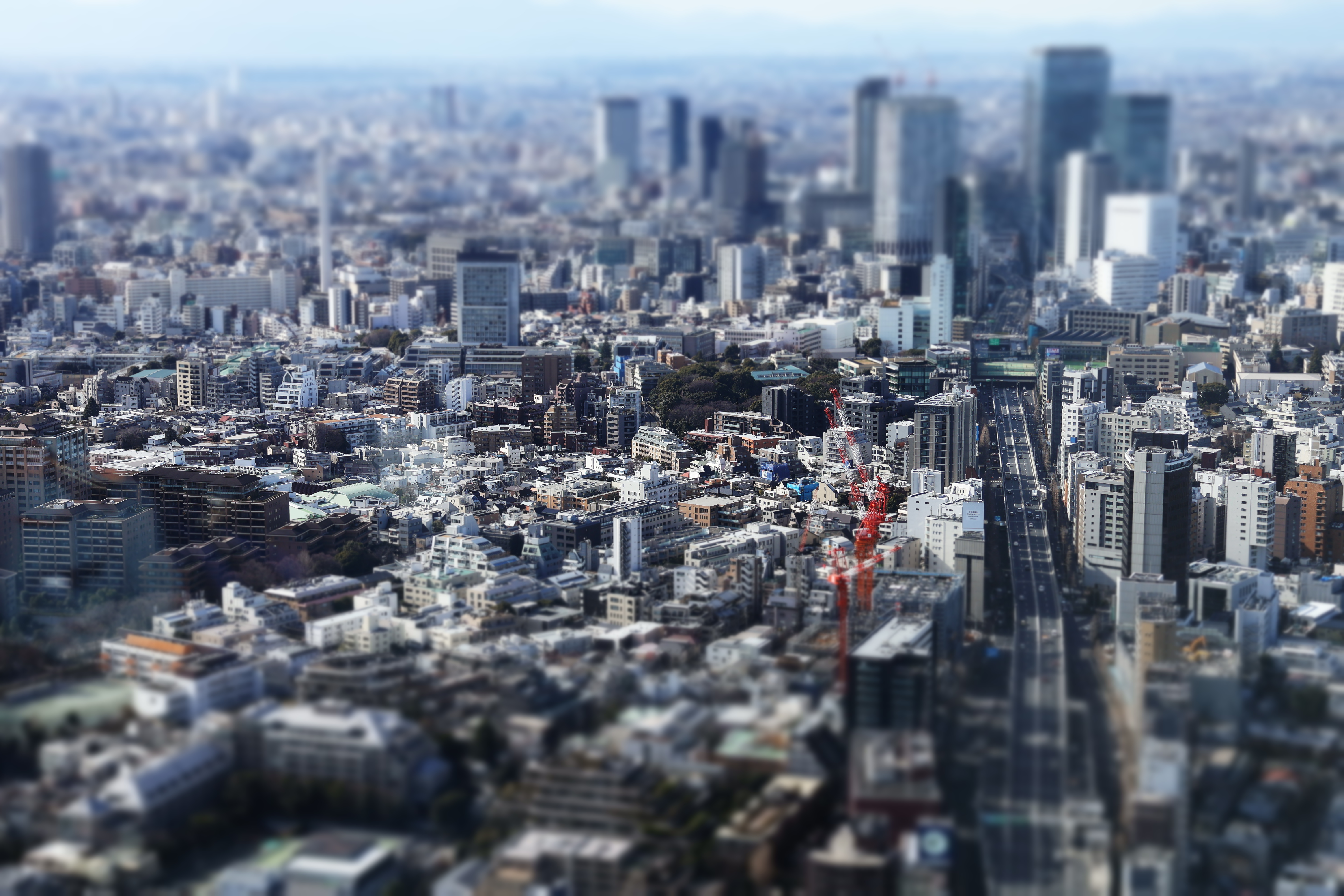 碁盤の目の夢