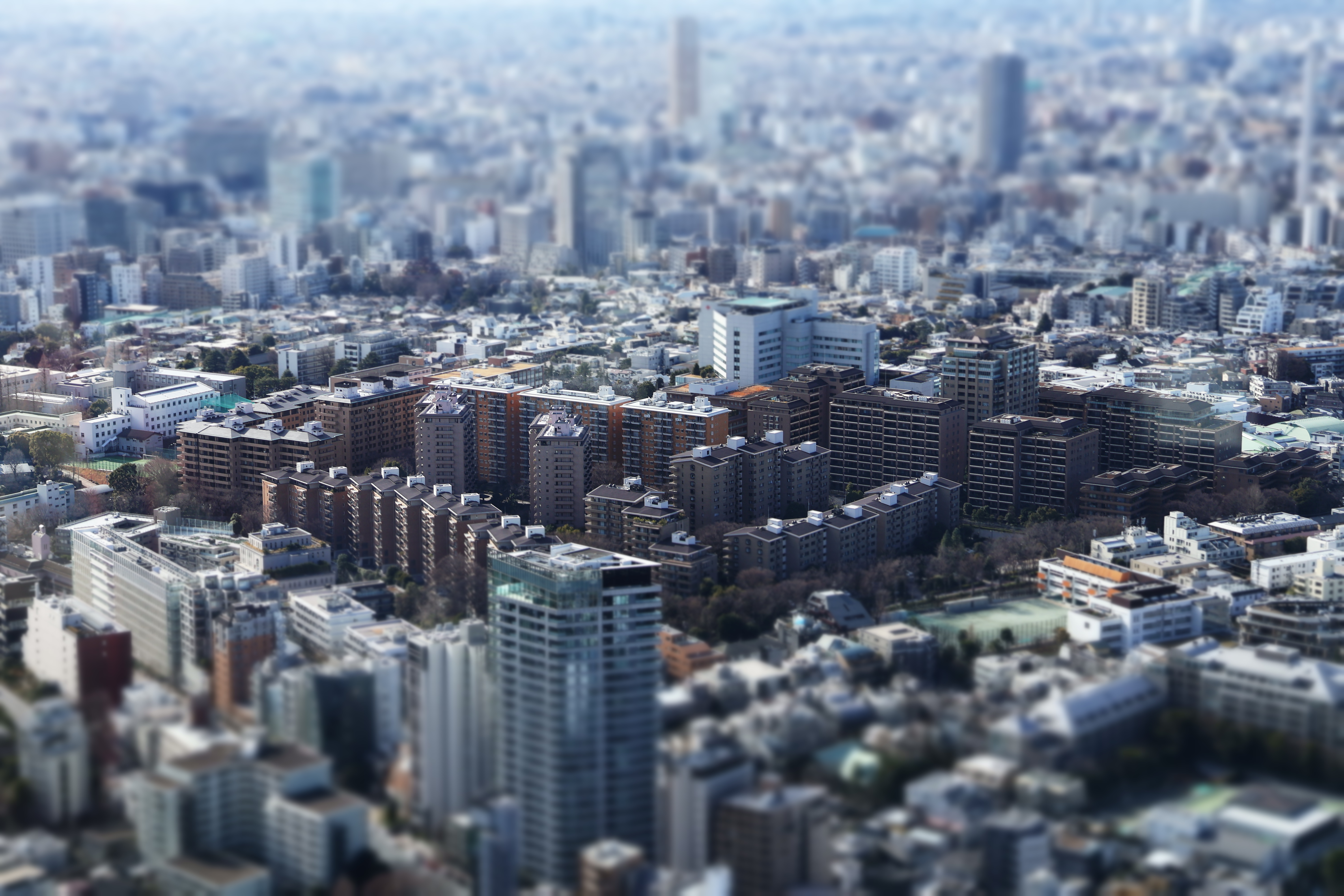 東京、静かなる群れ