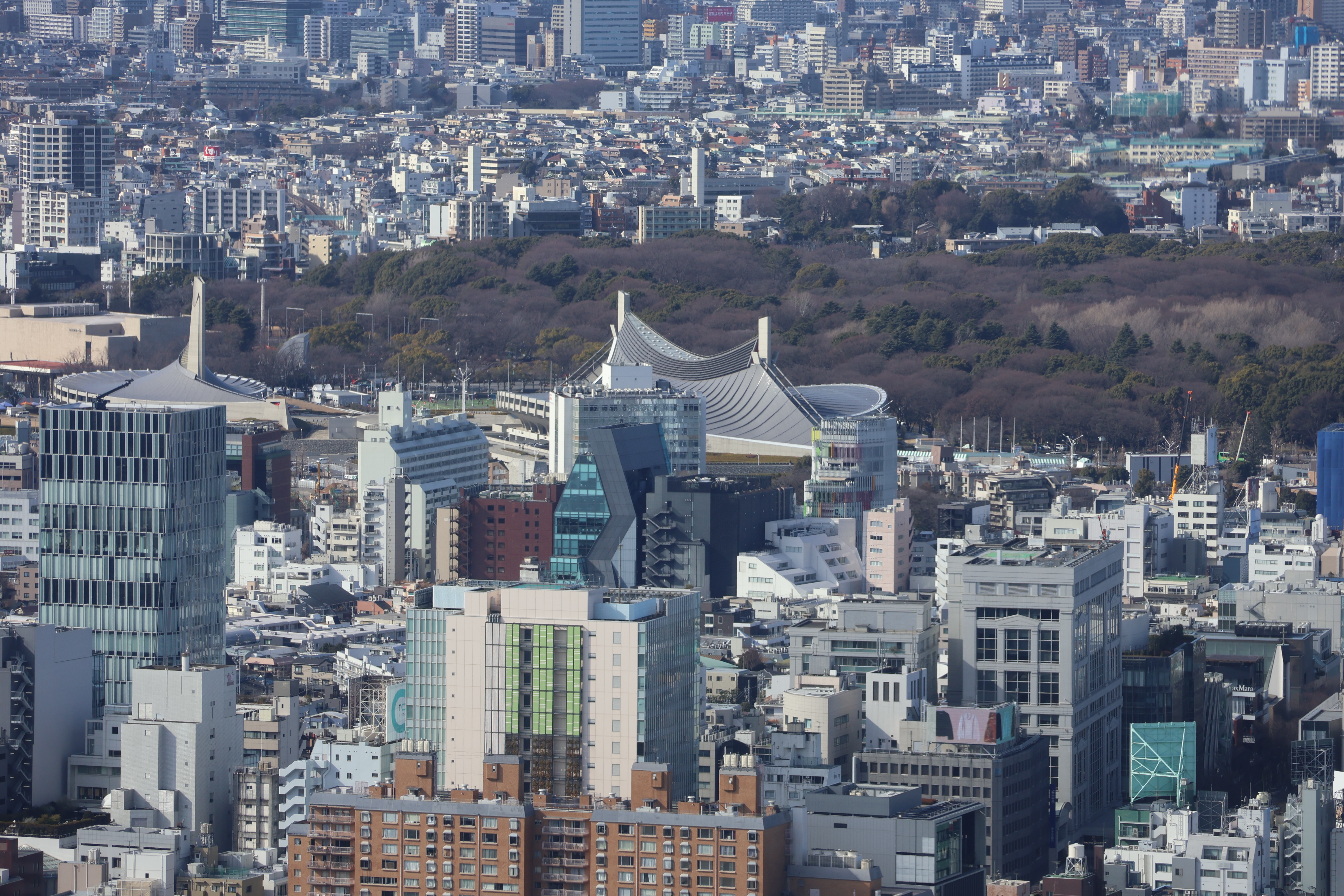 波屋根と杜の記憶