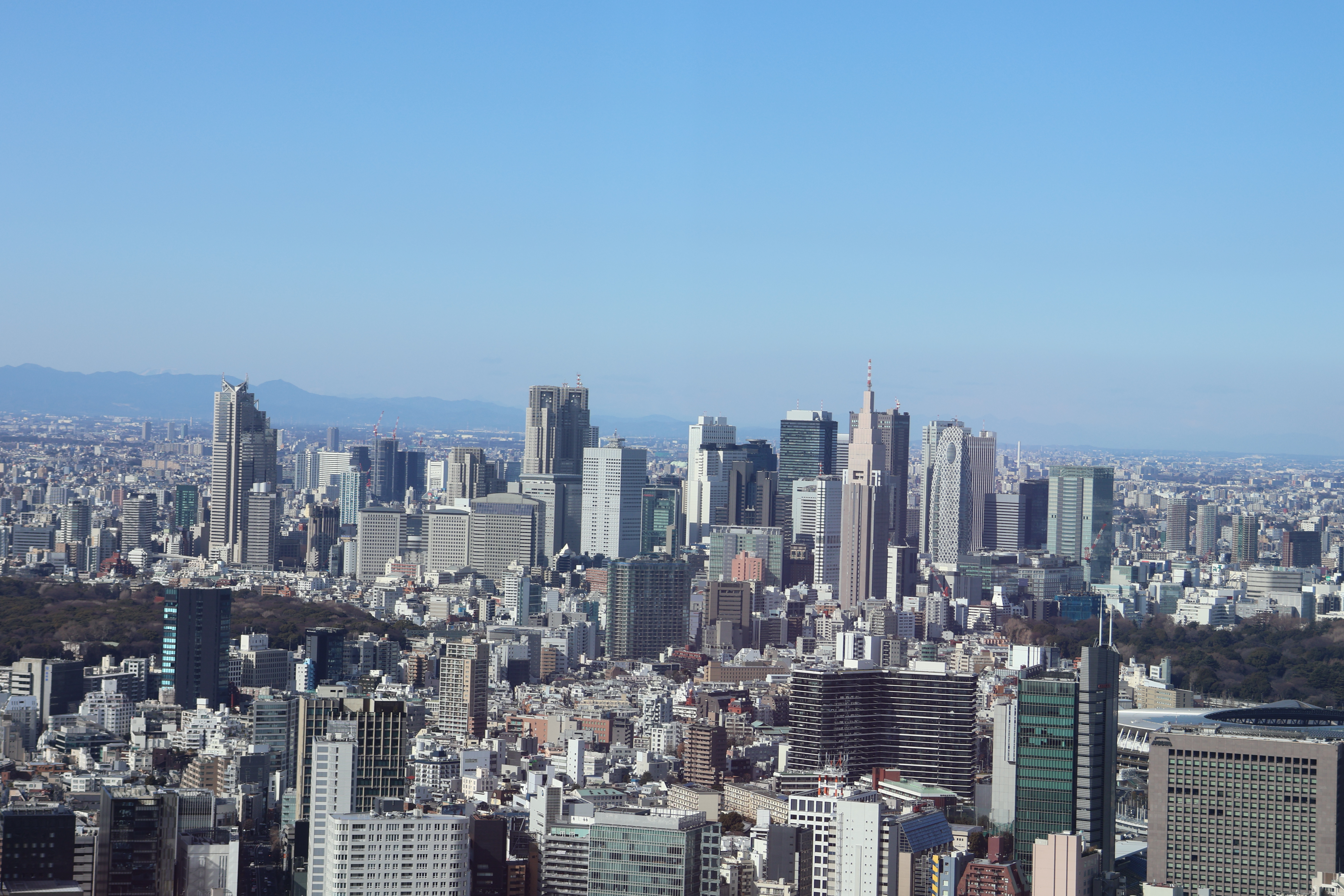 西新宿、天を穿つ群