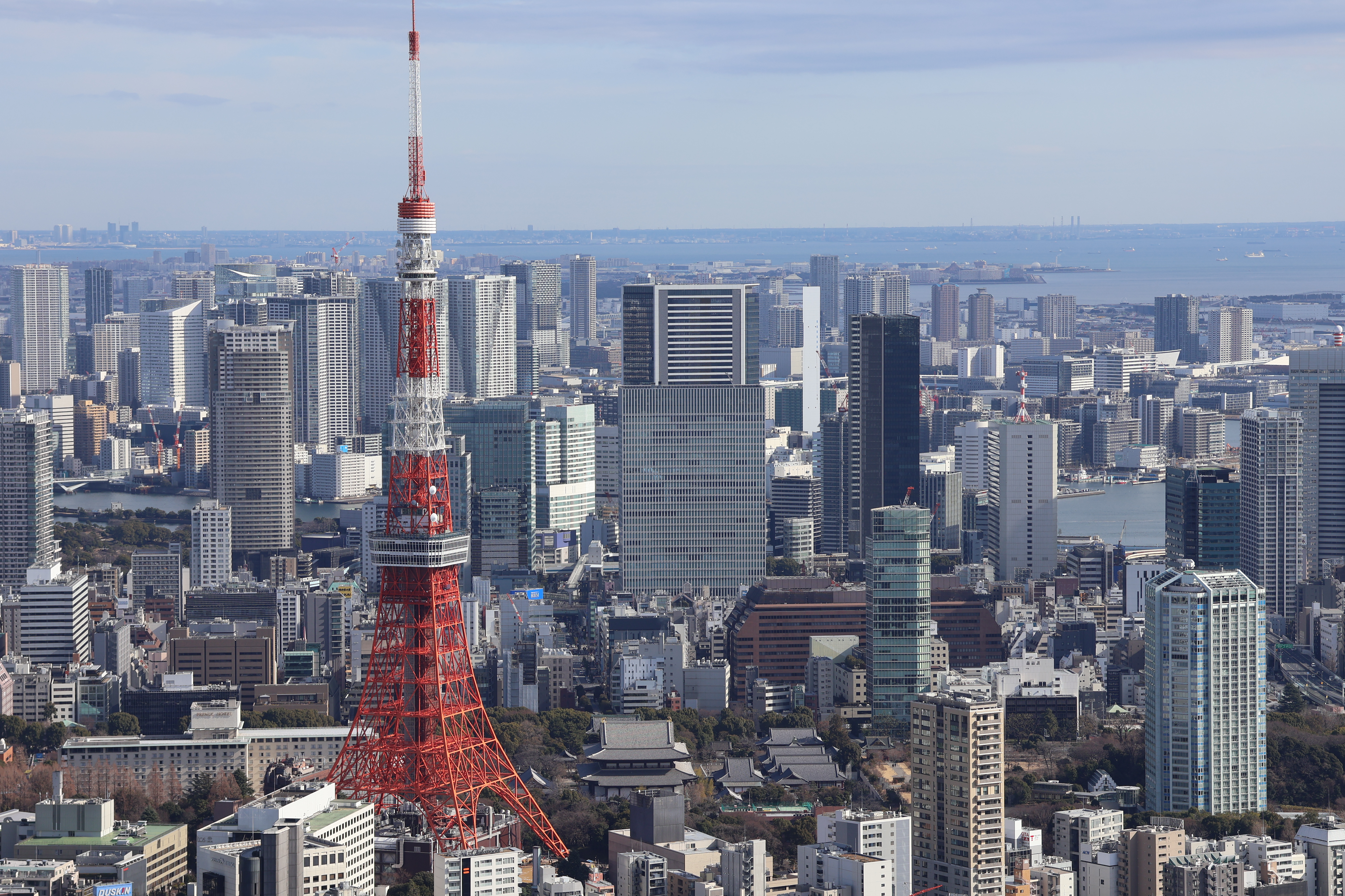 赤と白の讃歌
